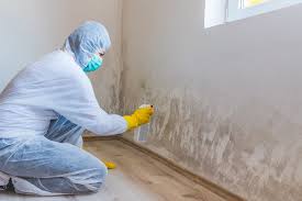 Why You Should Choose Our Mold Remediation Services in Manorville, NY